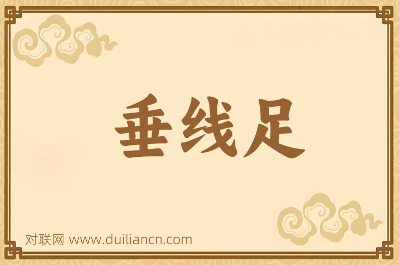 垂线足词语的意思