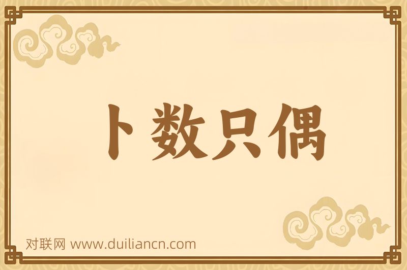 卜数只偶词语的意思