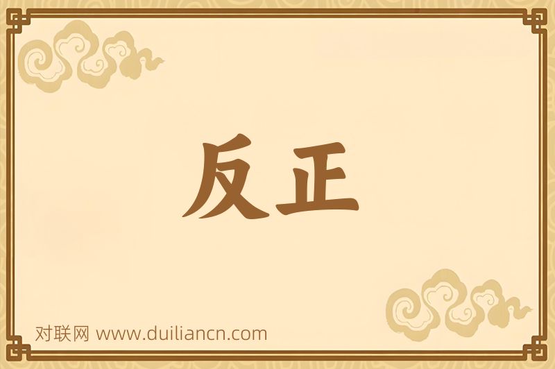 反正词语的意思