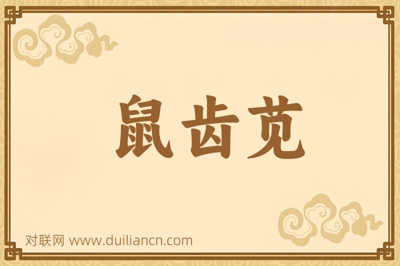 鼠齿苋词语的意思