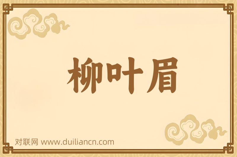 柳叶眉词语的意思