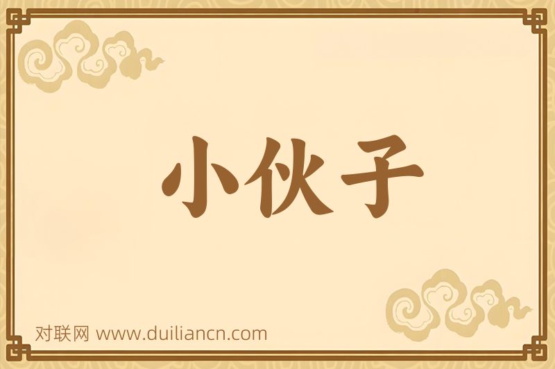 小伙子词语的意思