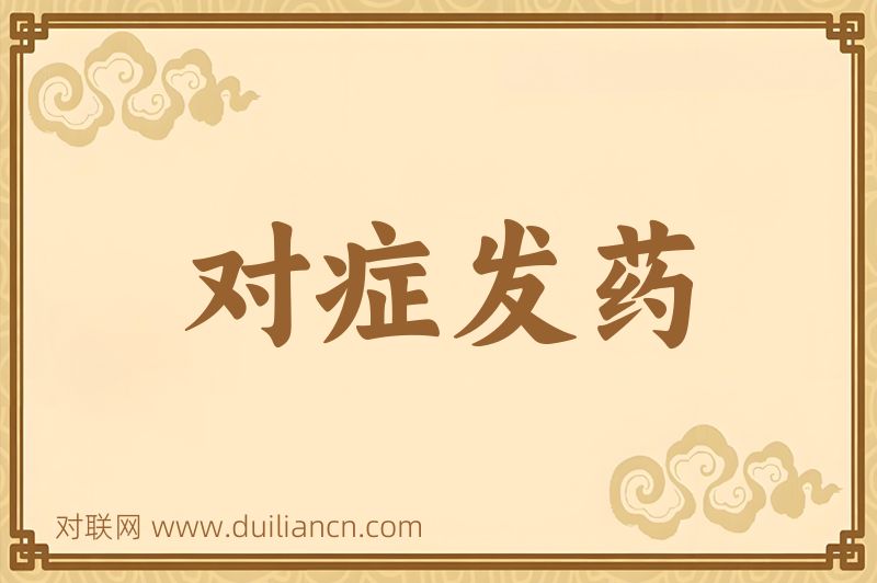 对症发药词语的意思