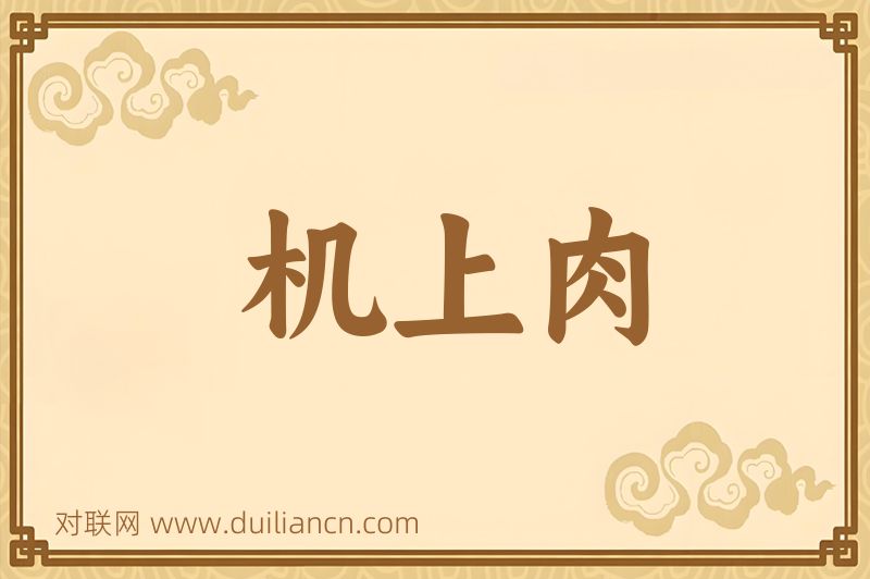 机上肉词语的意思