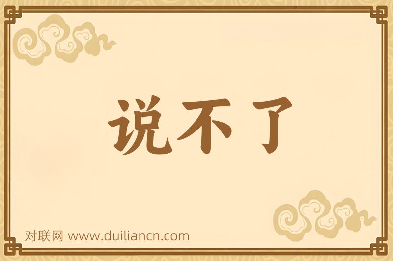 说不了词语的意思