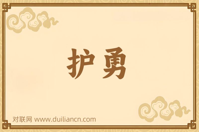 护勇词语的意思