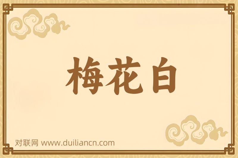 梅花白词语的意思