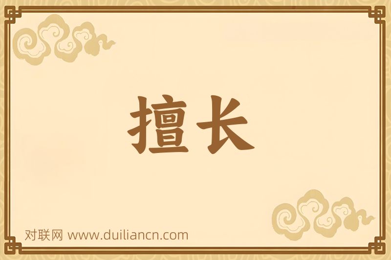 擅长词语的意思