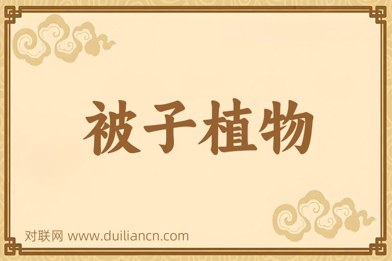被子植物词语的意思
