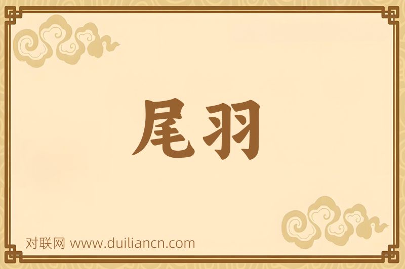 尾羽词语的意思