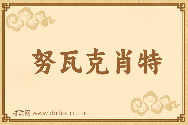 努瓦克肖特词语的意思