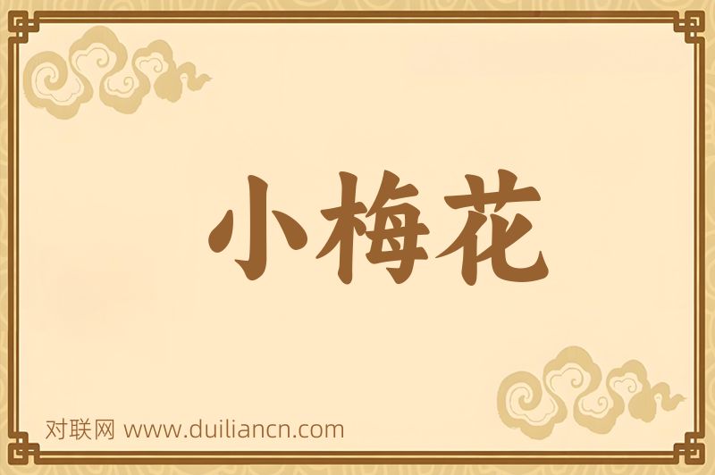 小梅花词语的意思