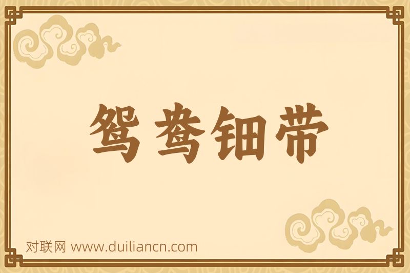 鸳鸯钿带词语的意思
