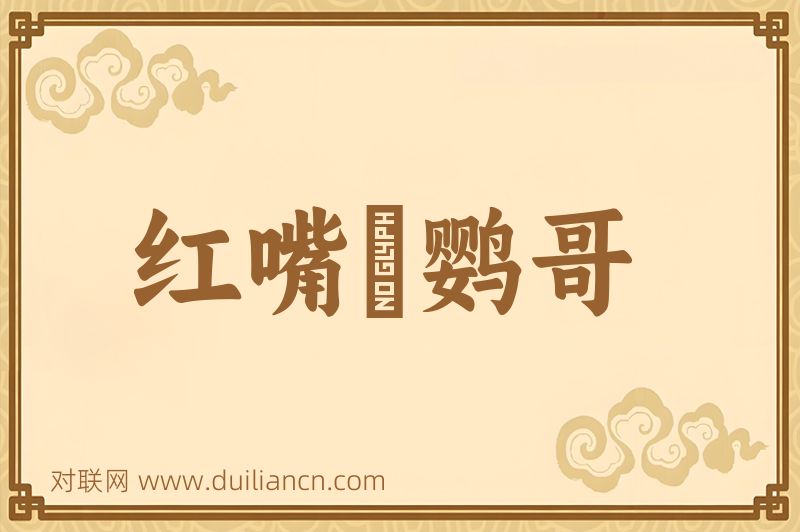 红嘴緑鹦哥词语的意思