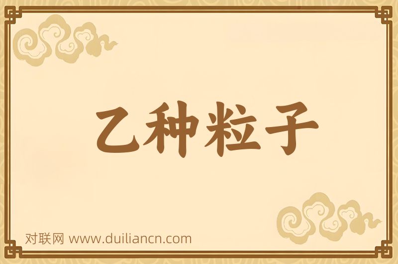乙种粒子词语的意思