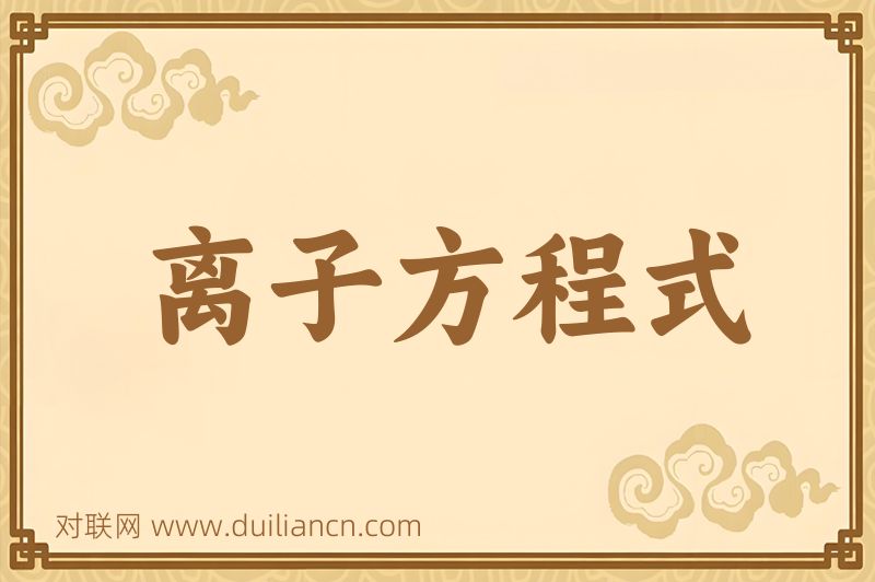 离子方程式词语的意思
