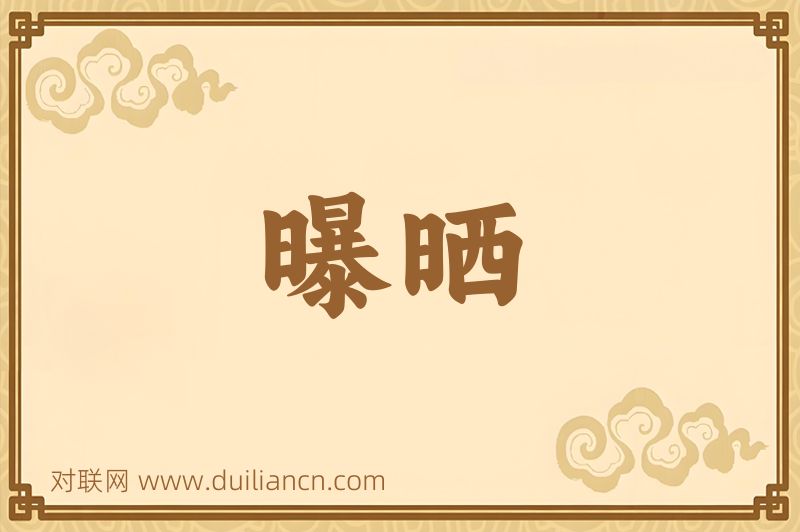 曝晒词语的意思