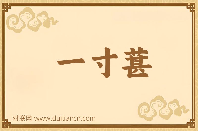一寸葚词语的意思