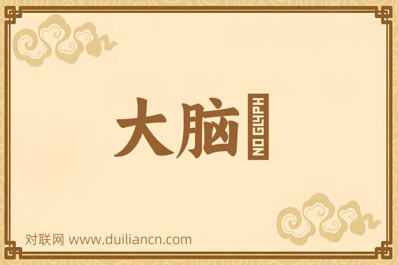 大脑殻词语的意思
