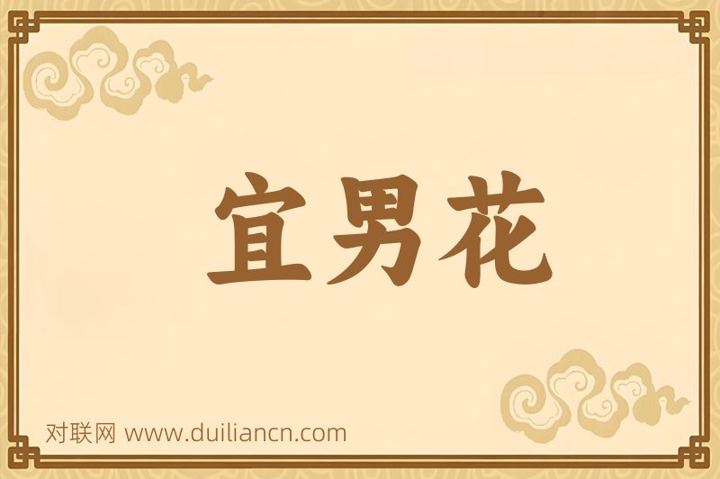 宜男花词语的意思