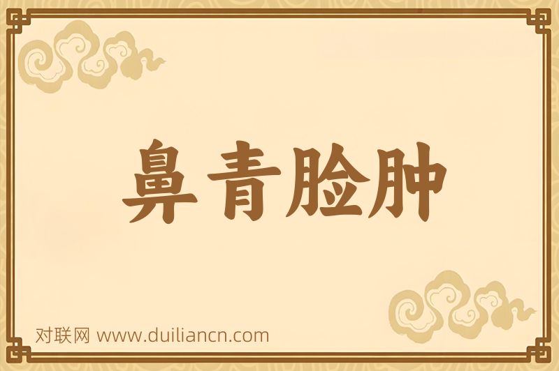鼻青脸肿词语的意思