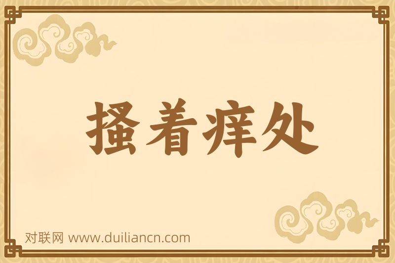 搔着痒处词语的意思