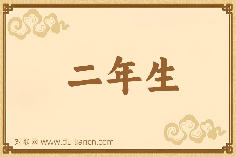 二年生词语的意思