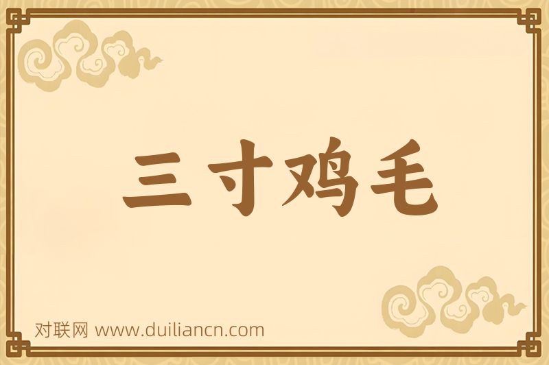 三寸鸡毛词语的意思