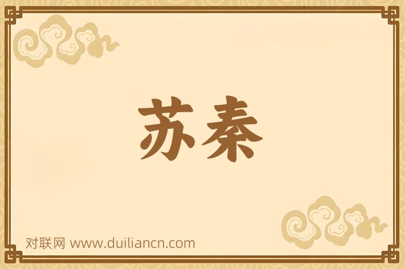 苏秦词语的意思