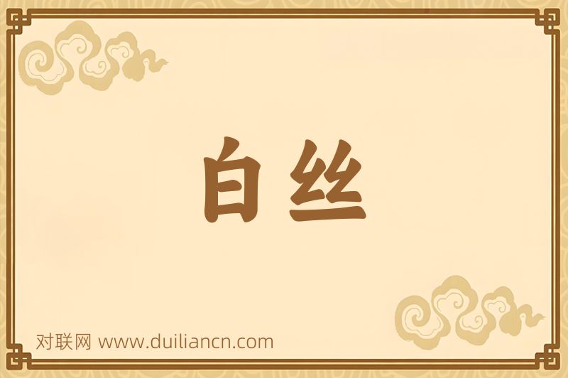 白丝词语的意思