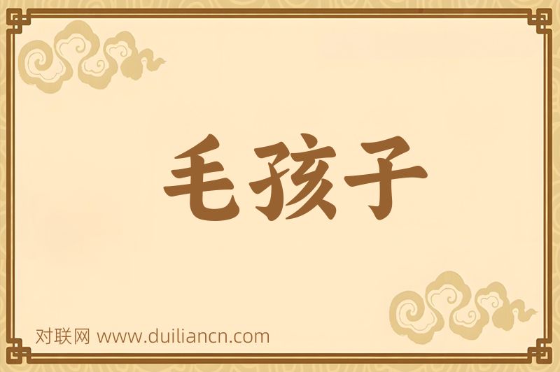 毛孩子词语的意思