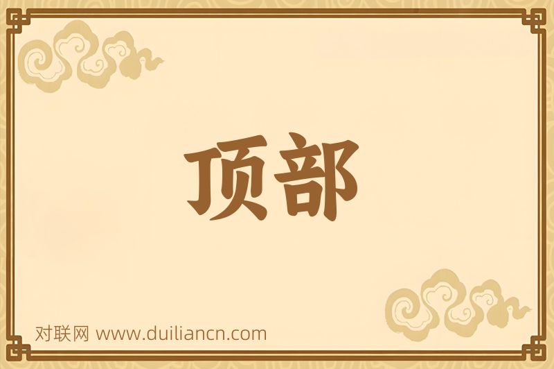顶部词语的意思