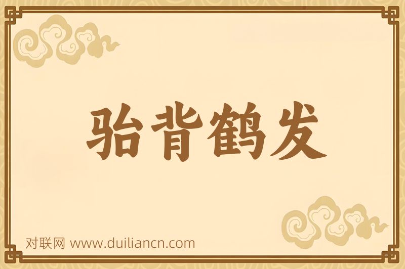 骀背鹤发词语的意思