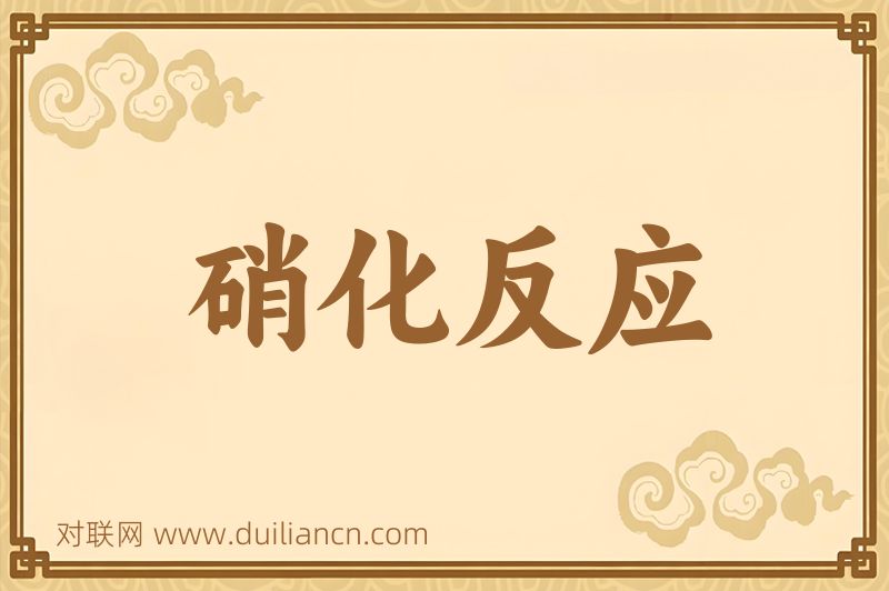 硝化反应词语的意思