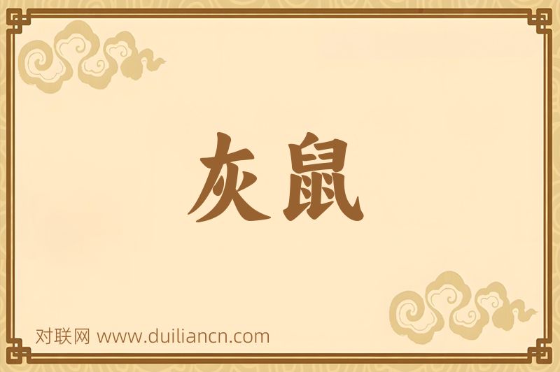 灰鼠词语的意思