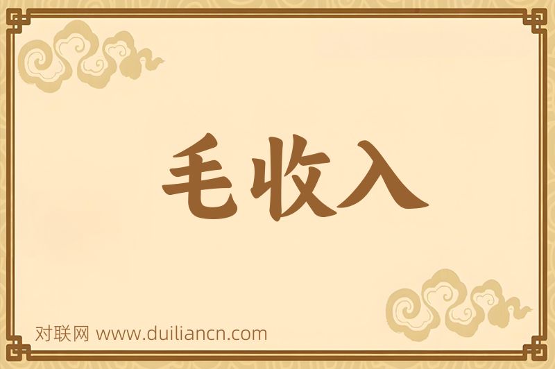 毛收入词语的意思