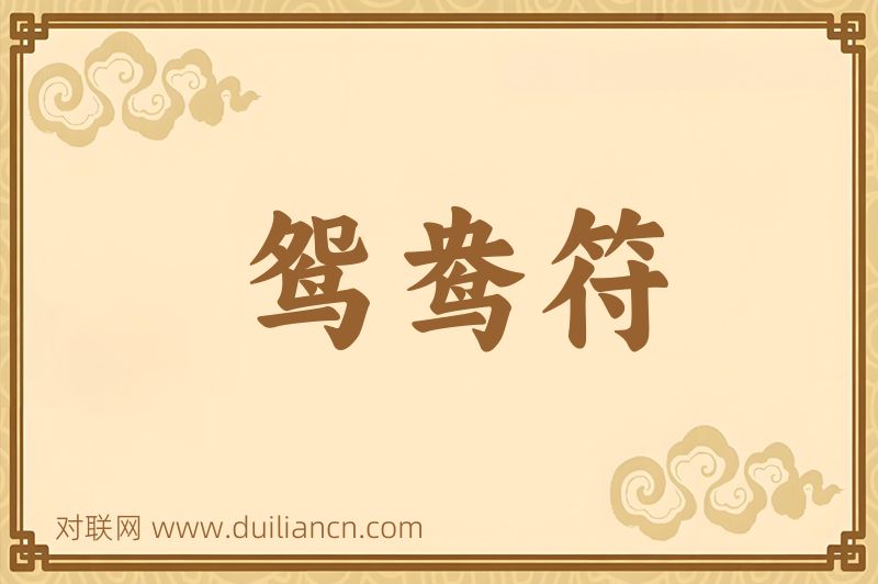 鸳鸯符词语的意思