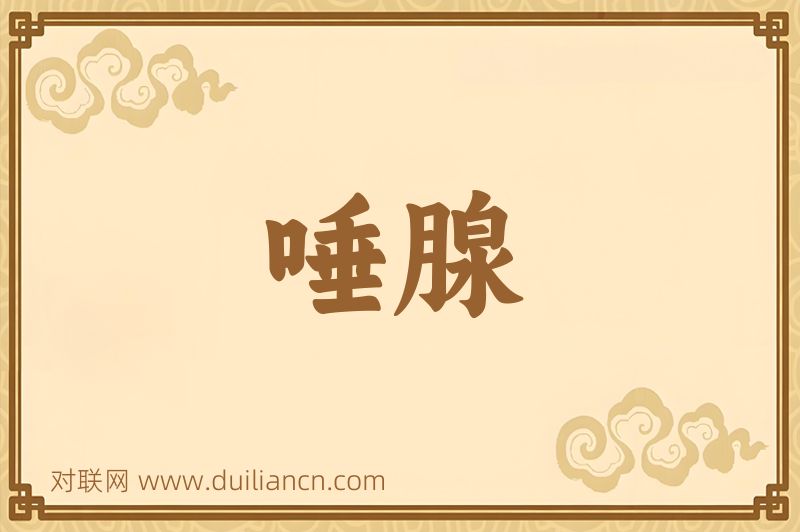 唾腺词语的意思