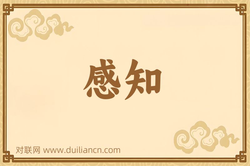 感知词语的意思