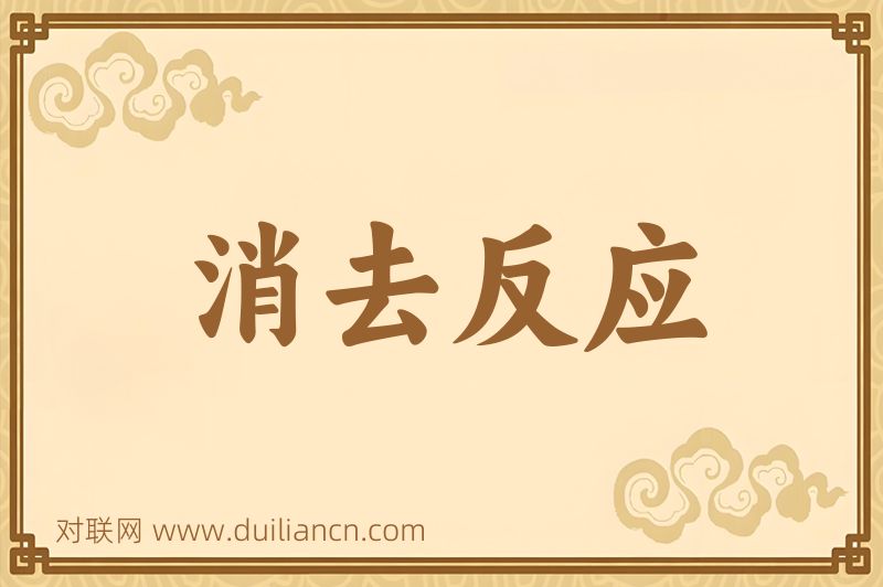 消去反应词语的意思