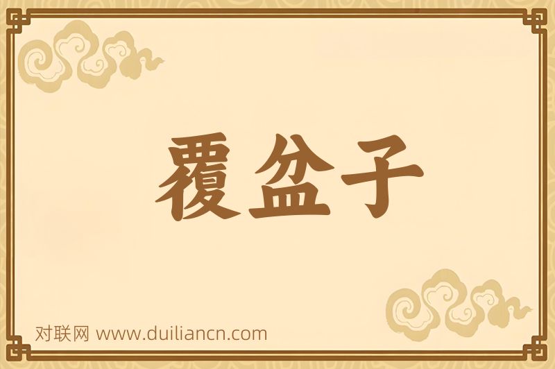 覆盆子词语的意思