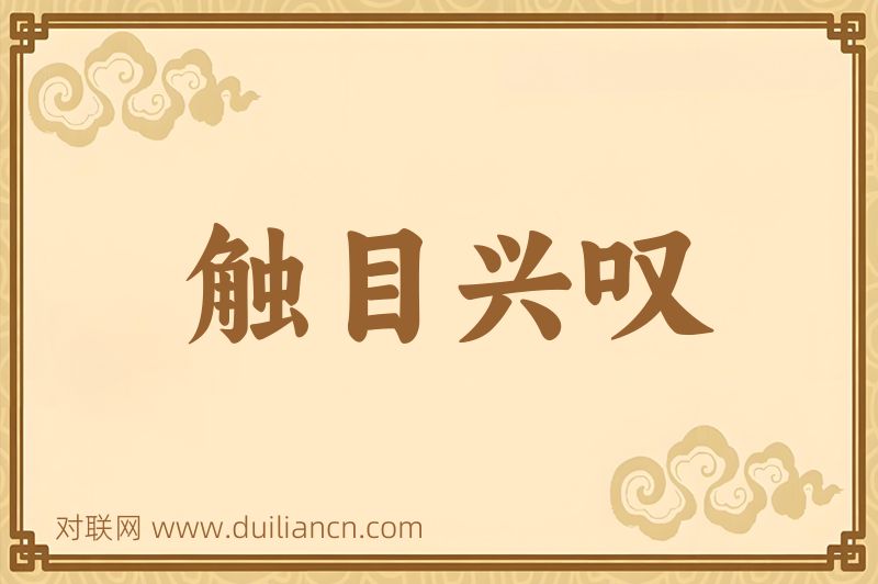 触目兴叹词语的意思