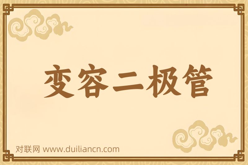 变容二极管词语的意思