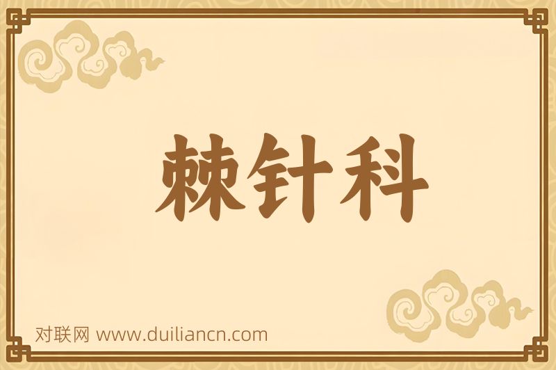 棘针科词语的意思