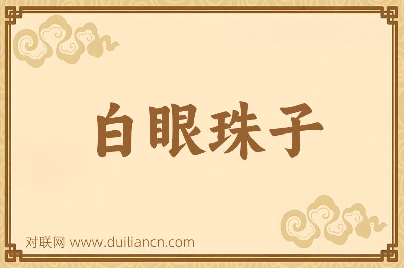 白眼珠子词语的意思