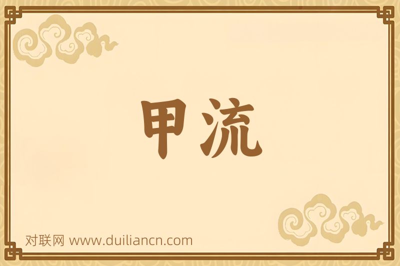 甲流词语的意思