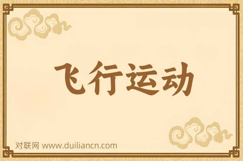飞行运动词语的意思
