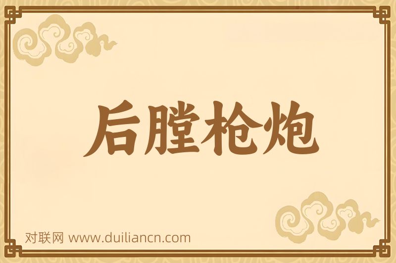 后膛枪炮词语的意思