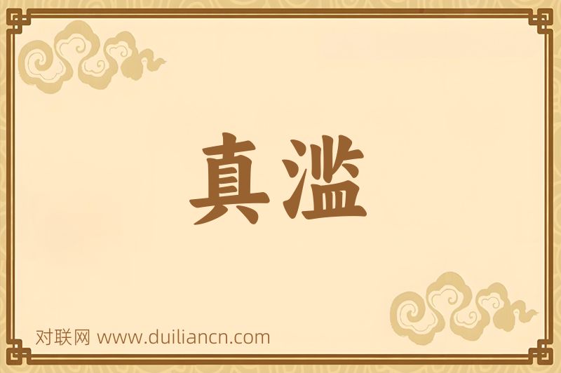 真滥词语的意思