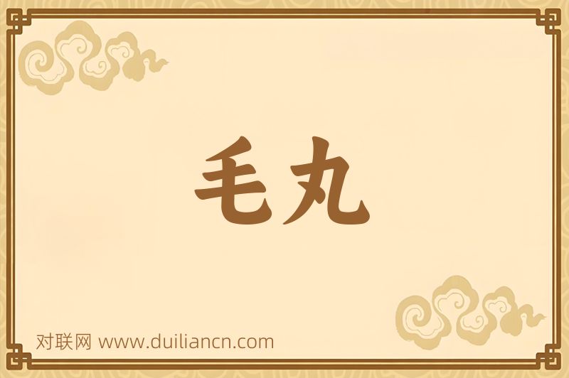 毛丸词语的意思